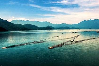 Tam Giang Lagoon