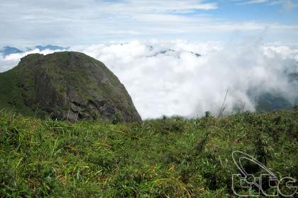 Mount Fan Si Pan (Fan Si Pan)