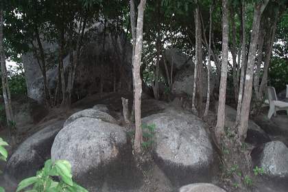 胡志明大坝山 - 生态旅游点源