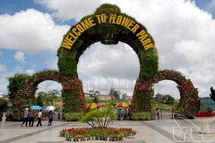 Dalat flower garden