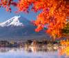 KHÁM PHÁ NHẬT BẢN MÙA THU :  TOKYO – NÚI PHÚ SĨ – NAGOYA – KYOTO – OSAKA