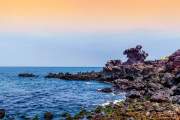 Khám phá Hàn Quốc – Miễn visa : ĐẢO THIÊN ĐƯỜNG JEJU  ( từ Đà Nẵng)