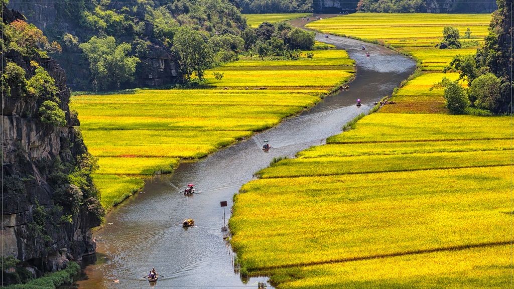 tổng hợp giá vé tham khảo toàn quốc